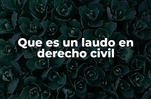 Que es un Laudo en Derecho Civil