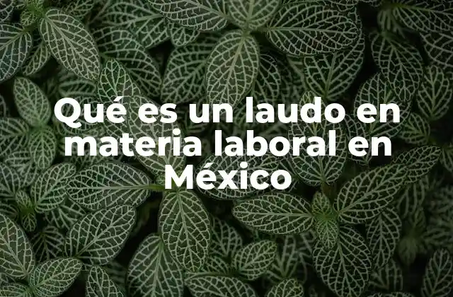 Qué es un Laudo en Materia Laboral en México