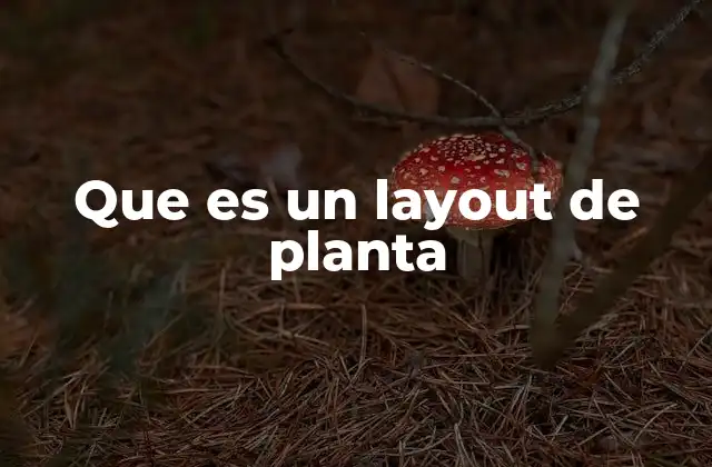 Que es un Layout de Planta
