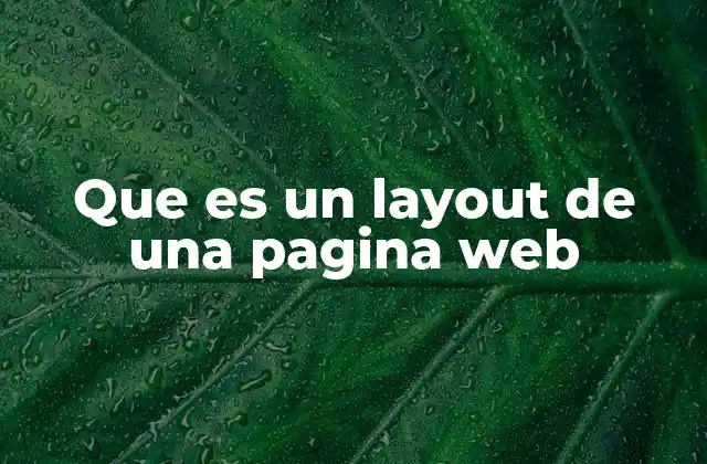 Cómo el layout define la estructura visual de un sitio web