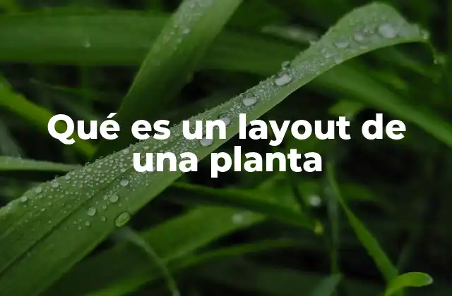 Qué es un Layout de una Planta
