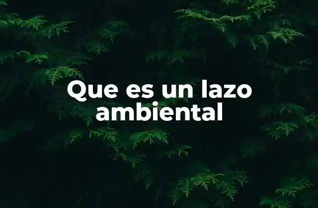 Que es un Lazo Ambiental