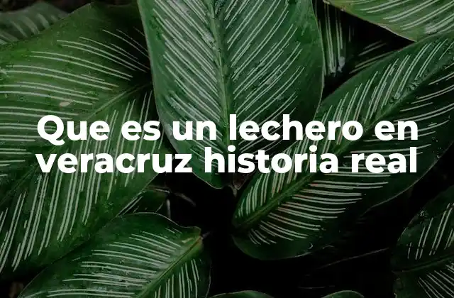 Que es un Lechero en Veracruz Historia Real