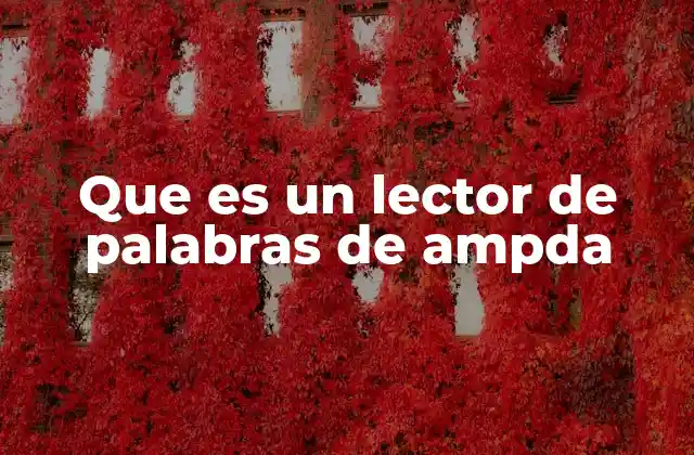 Que es un Lector de Palabras de Ampda