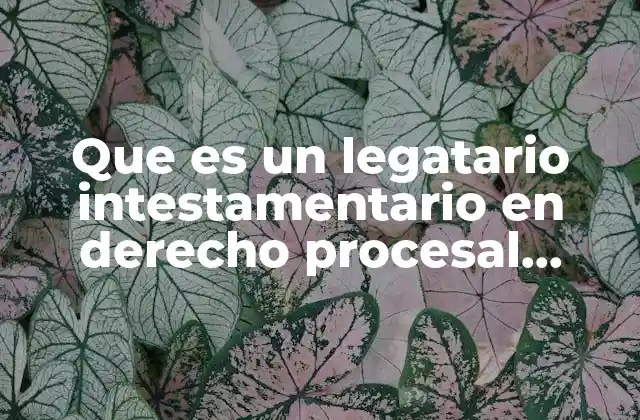 Que es un Legatario Intestamentario en Derecho Procesal Mexicano