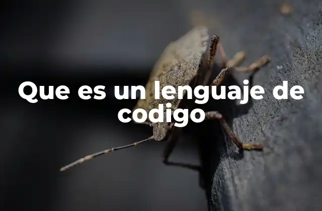 Que es un Lenguaje de Codigo