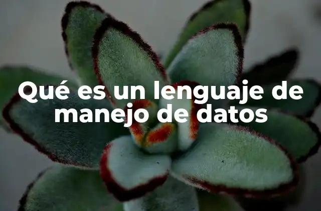 Qué es un Lenguaje de Manejo de Datos
