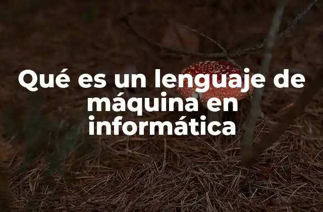 Qué es un Lenguaje de Máquina en Informática