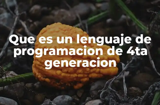 Que es un Lenguaje de Programacion de 4ta Generacion