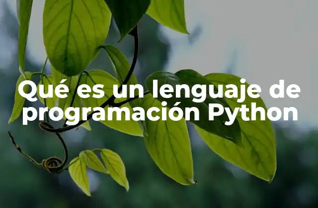 Qué es un Lenguaje de Programación Python 2 Características que lo distinguen entre los lenguajes de programación
