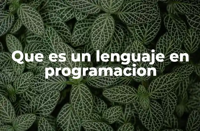 Que es un Lenguaje en Programacion
