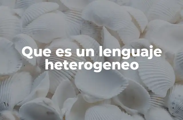 Que es un Lenguaje Heterogeneo