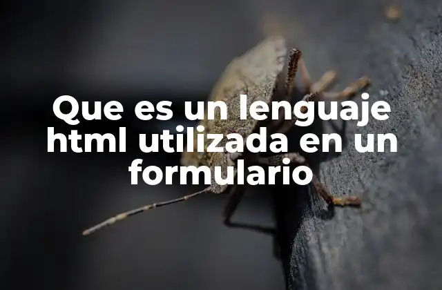 Que es un Lenguaje Html Utilizada en un Formulario