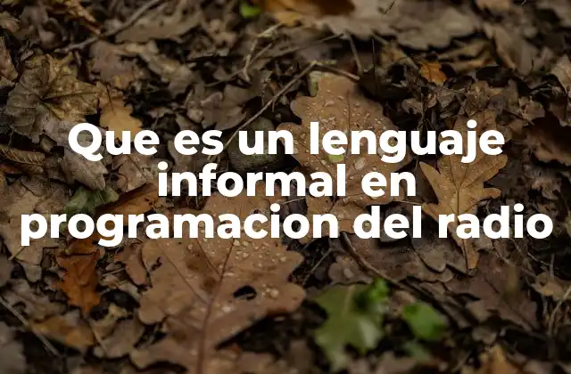 Que es un Lenguaje Informal en Programacion Del Radio