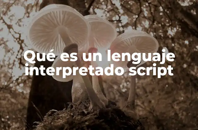 Qué es un Lenguaje Interpretado Script
