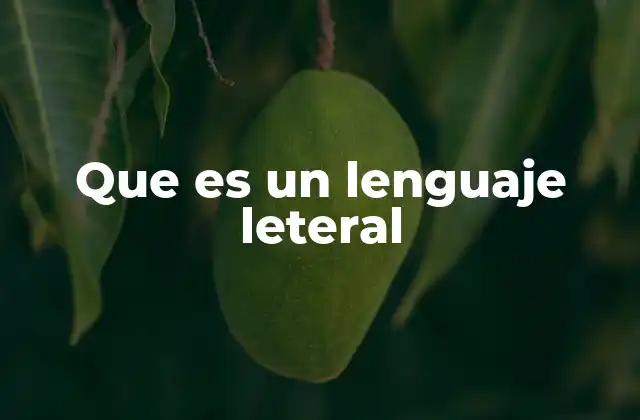 Que es un Lenguaje Leteral