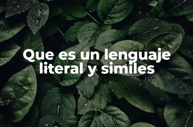 Que es un Lenguaje Literal y Similes