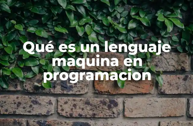 Qué es un Lenguaje Maquina en Programacion