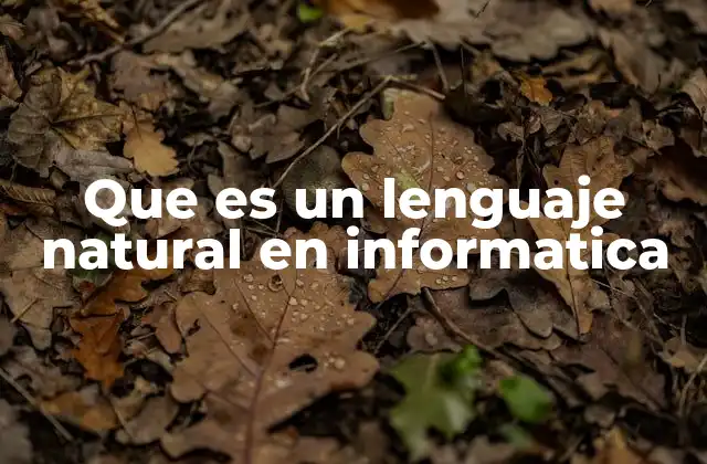 Que es un Lenguaje Natural en Informatica
