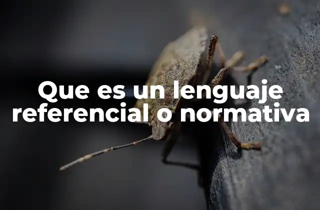 El lenguaje como herramienta de comunicación y regulación