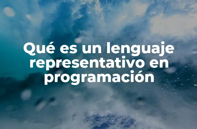 Qué es un Lenguaje Representativo en Programación