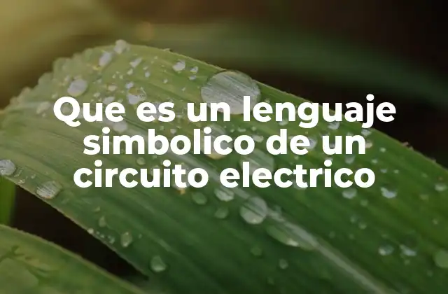 Que es un Lenguaje Simbolico de un Circuito Electrico