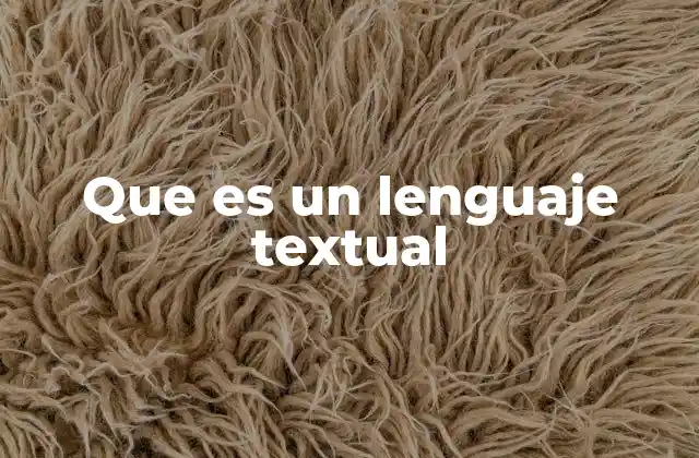 Que es un Lenguaje Textual