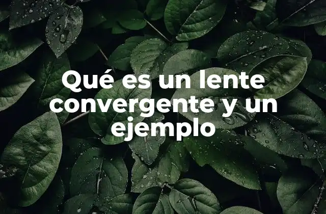 Funcionamiento de los lentes en la formación de imágenes