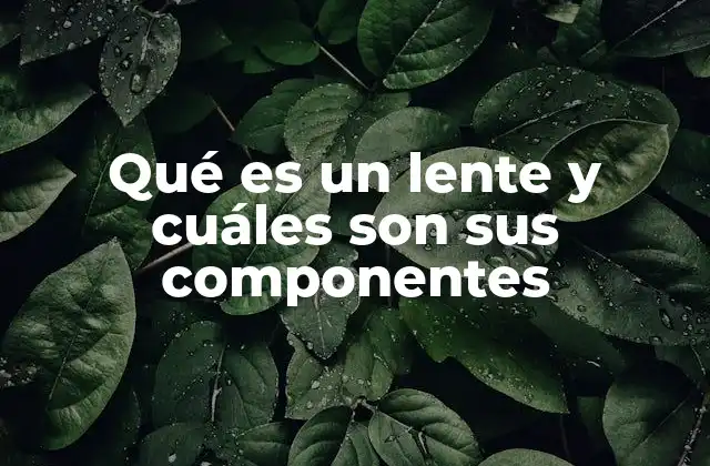 Qué es un Lente y Cuáles Son Sus Componentes