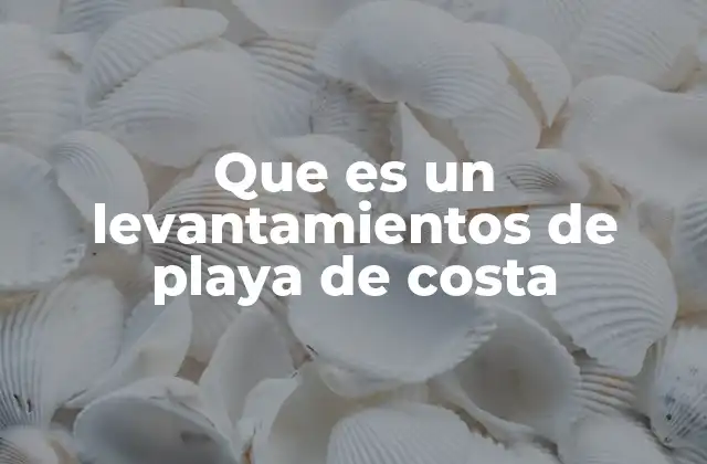 Que es un Levantamientos de Playa de Costa