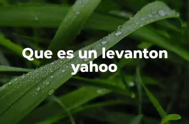 Que es un Levanton Yahoo
