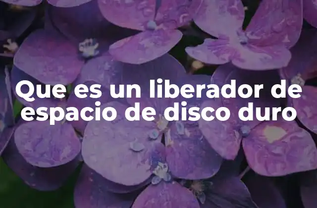 Que es un Liberador de Espacio de Disco Duro