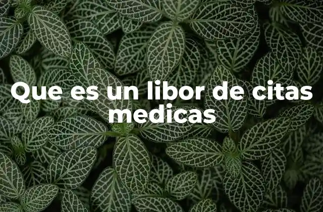 Que es un Libor de Citas Medicas