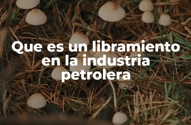 La importancia del libramiento en la operación segura de instalaciones petroleras