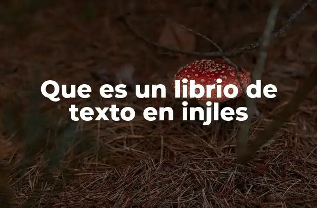 Que es un Librio de Texto en Injles