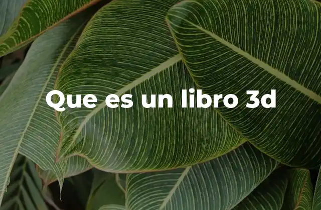 Que es un Libro 3d