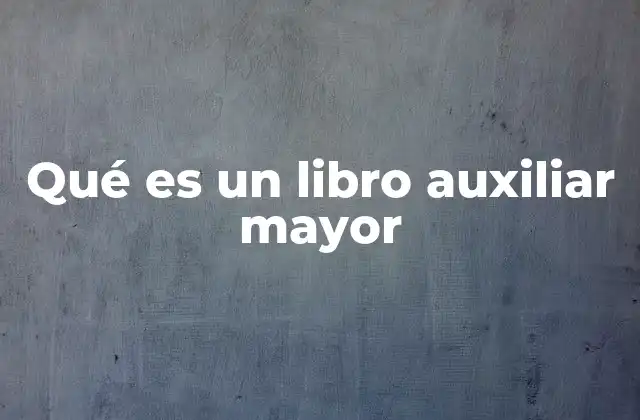 Qué es un Libro Auxiliar Mayor