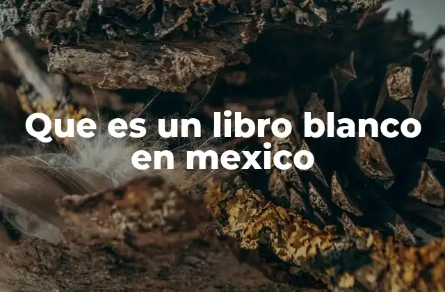 Que es un Libro Blanco en Mexico