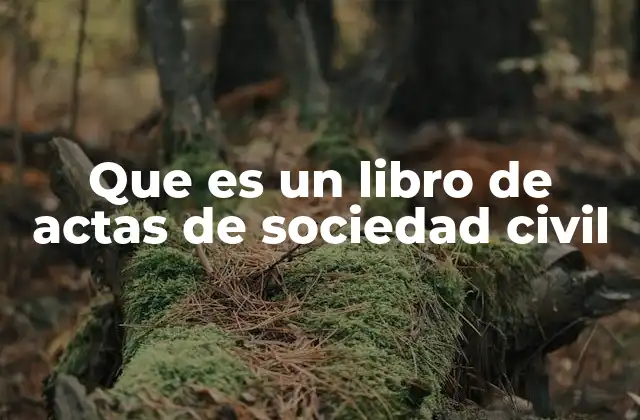 Que es un Libro de Actas de Sociedad Civil