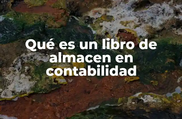 Qué es un Libro de Almacen en Contabilidad