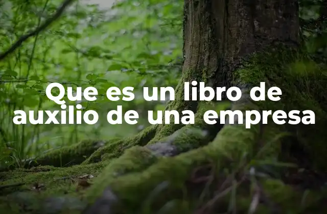 Que es un Libro de Auxilio de una Empresa