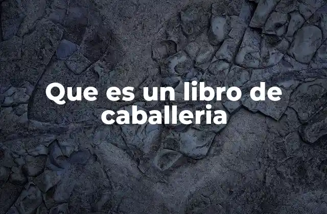 Que es un Libro de Caballeria