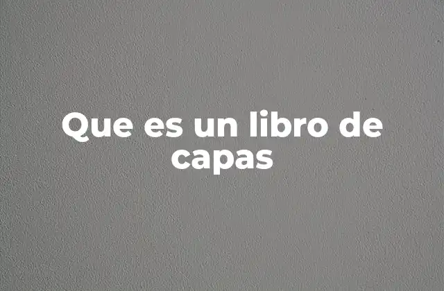 Que es un Libro de Capas