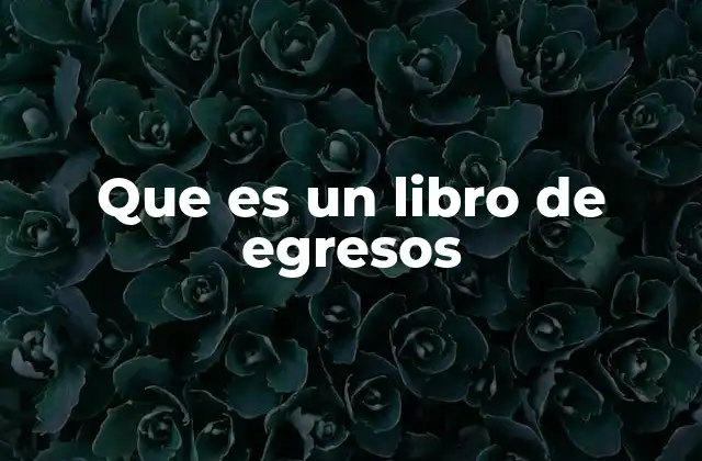 Que es un Libro de Egresos