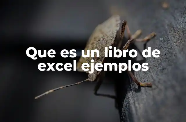 Que es un Libro de Excel Ejemplos