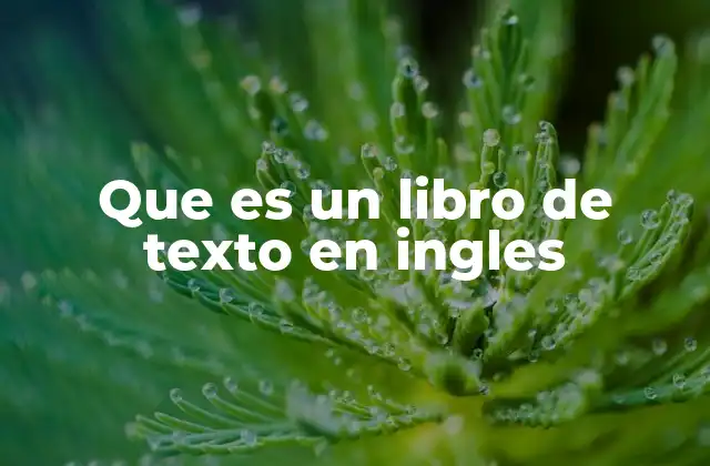 Que es un Libro de Texto en Ingles