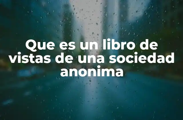 Que es un Libro de Vistas de una Sociedad Anonima
