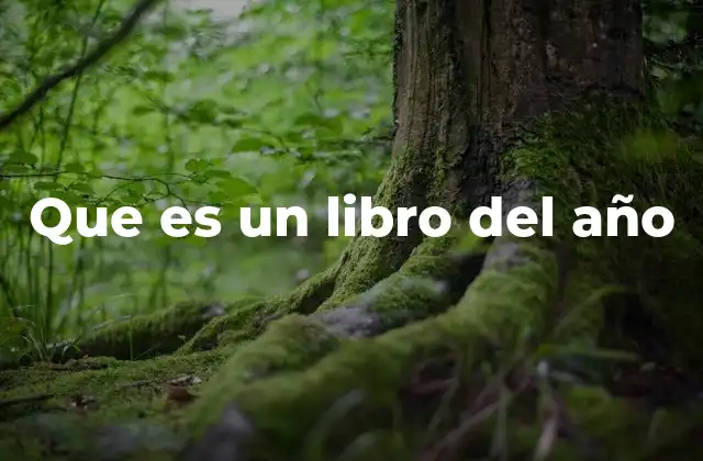 Que es un Libro Del Año