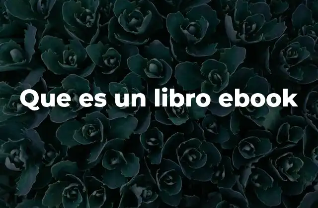 Que es un Libro Ebook