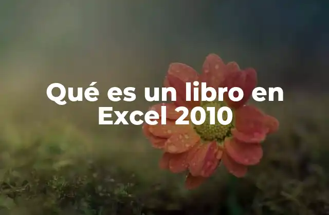 Qué es un Libro en Excel 2010